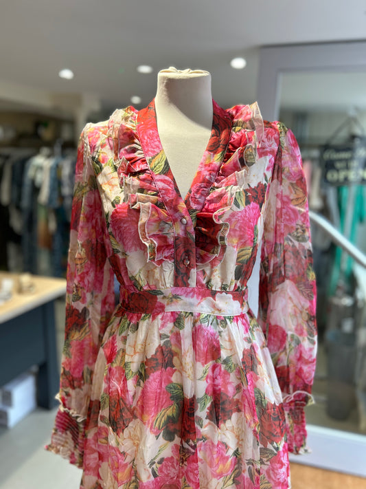 Chiffon Floral Printed Puff Long Sleeve Maxi Dress - Red & Pink